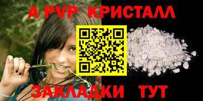 спиды Кандалакша