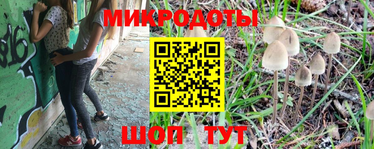 Псилоцибиновые грибы Psilocybine cubensis Кувандык