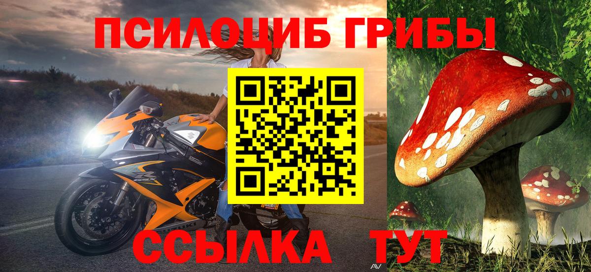 Кувандык  Галлюциногенные грибы Psilocybe  Вход с VPN 